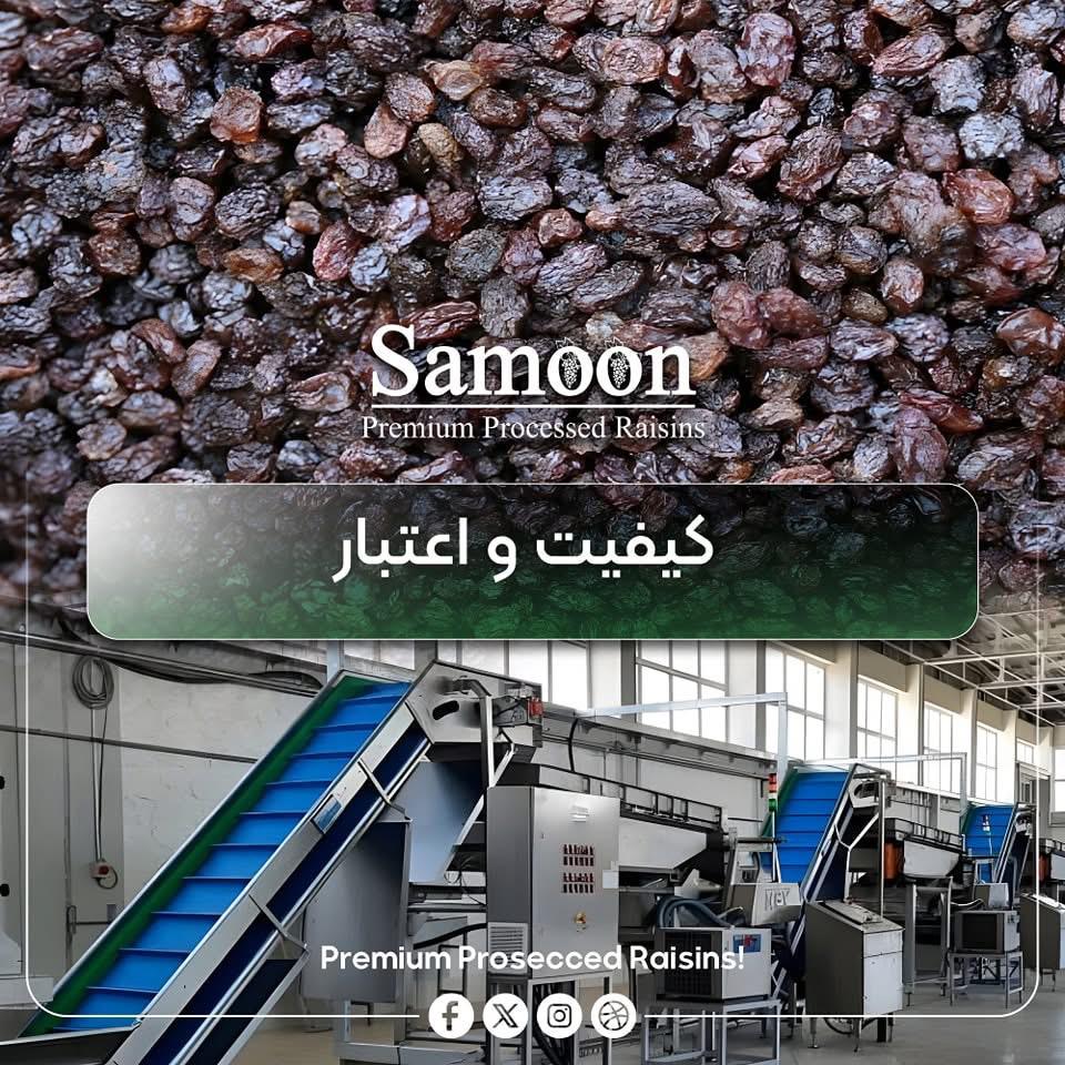 WhatsApp Image 2025-07-22 at 17.06.00