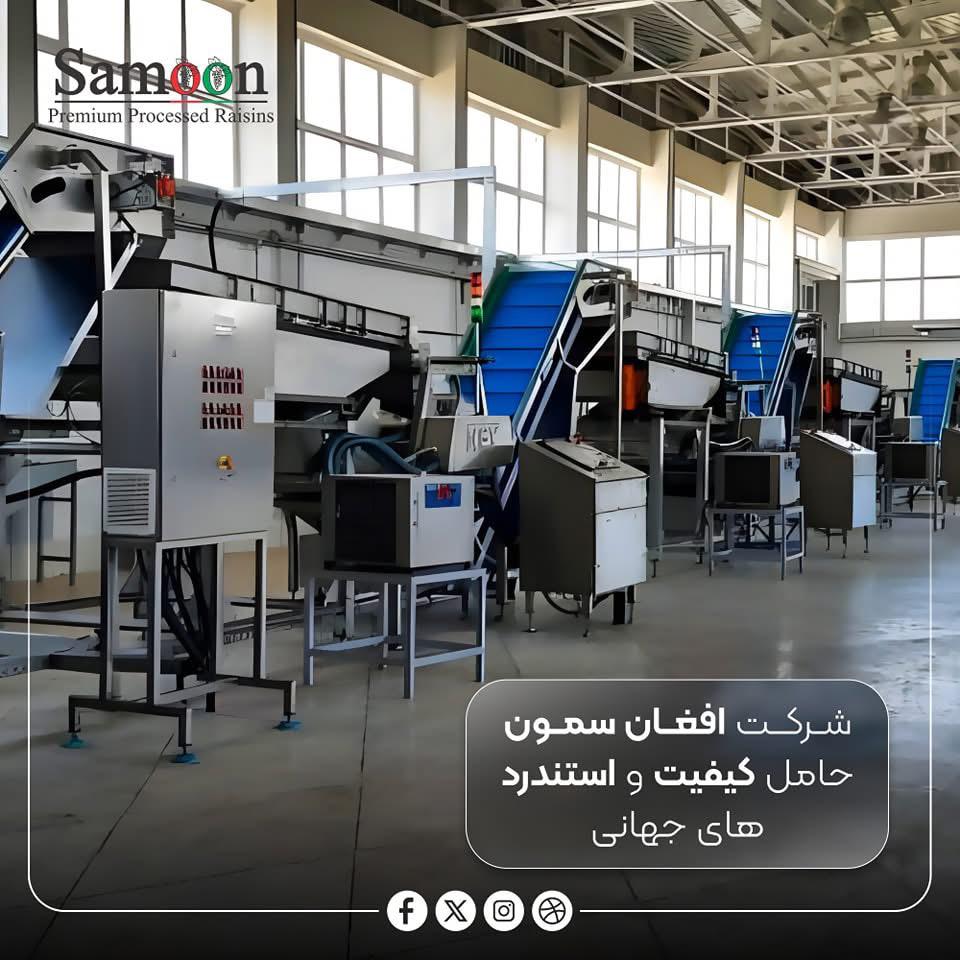 WhatsApp Image 2025-07-22 at 17.06.22