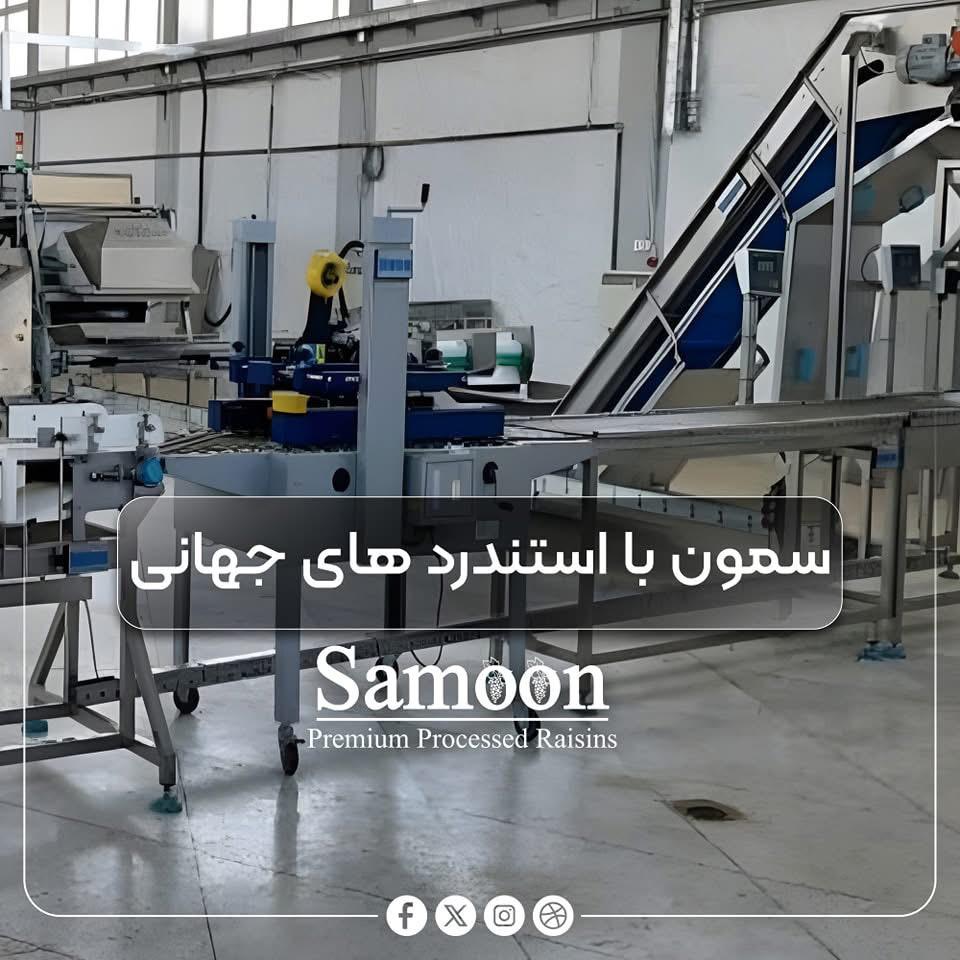 WhatsApp Image 2025-07-22 at 17.06.30