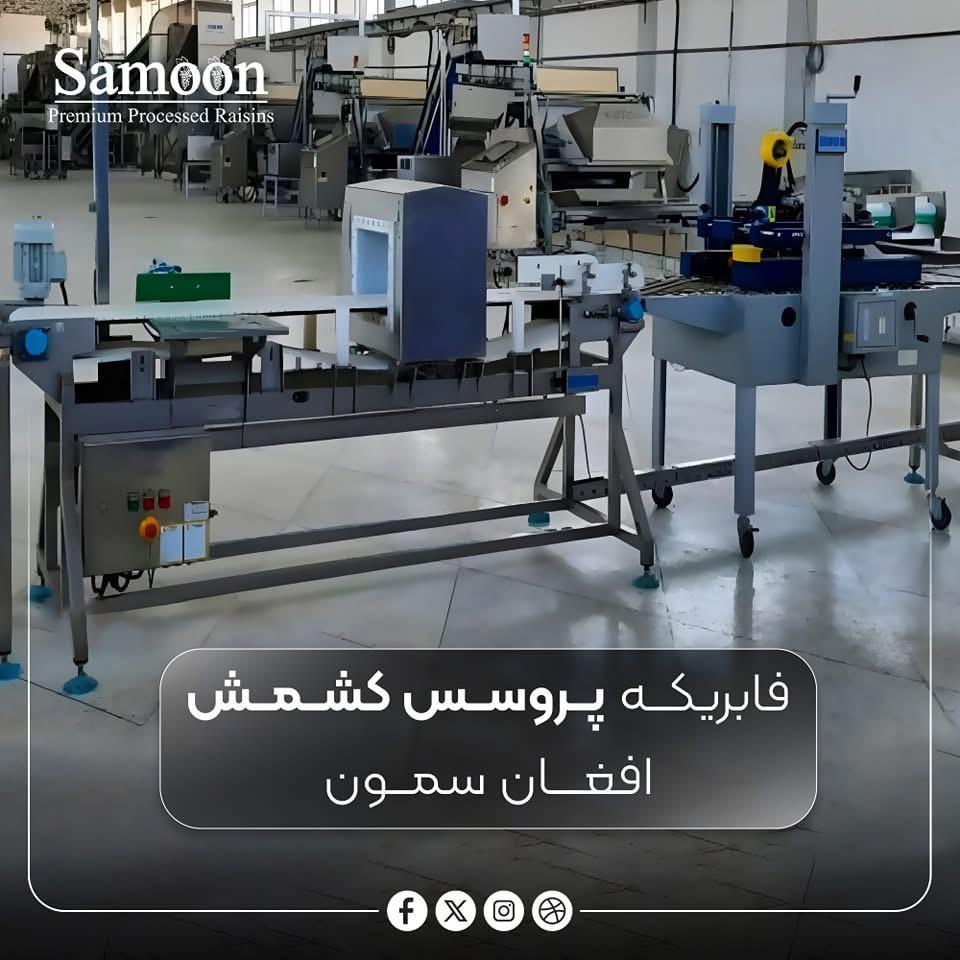 WhatsApp Image 2025-07-22 at 17.06.44