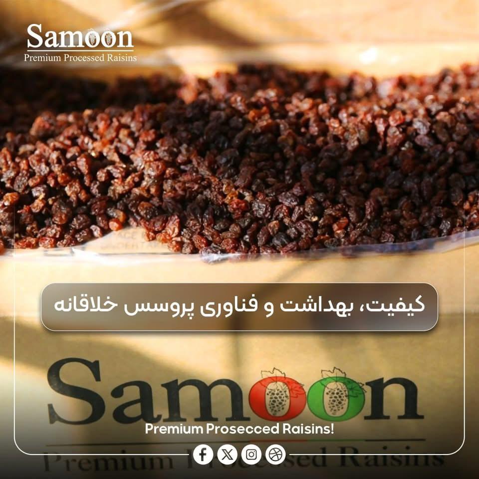 WhatsApp Image 2025-07-22 at 17.06.56