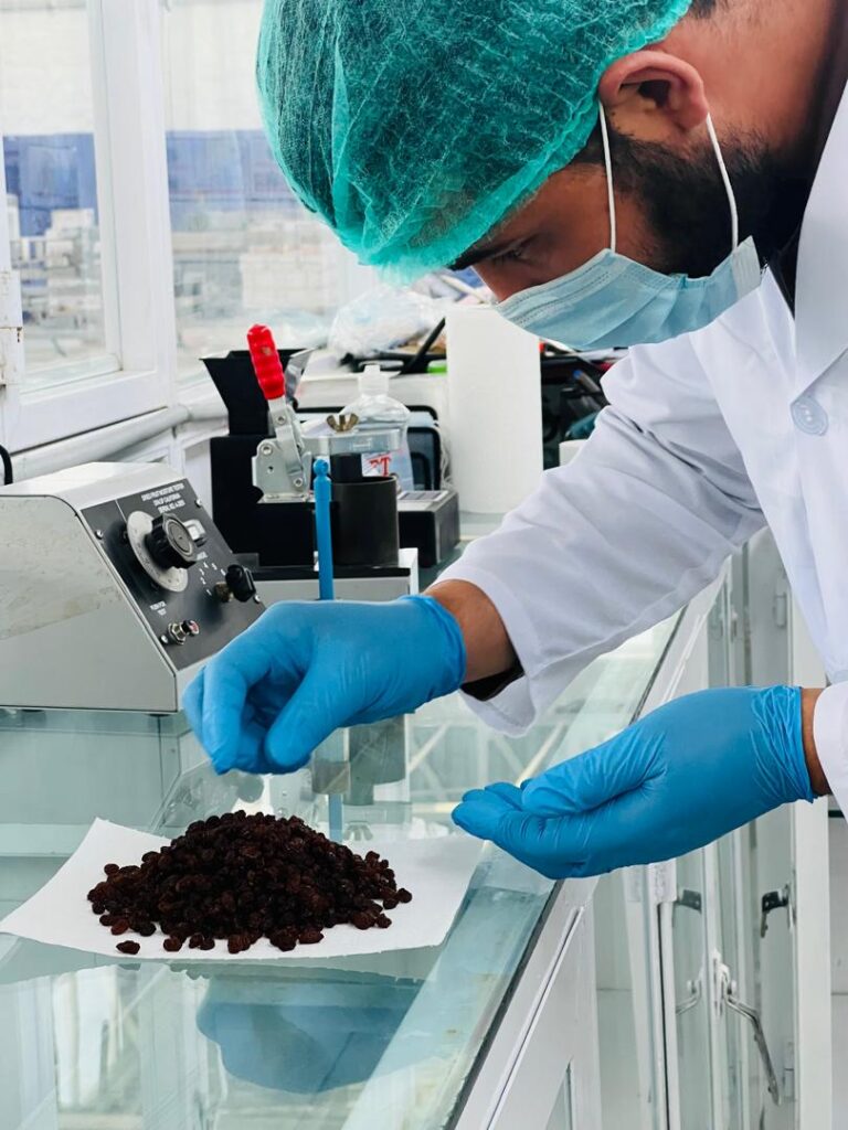 WhatsApp Image 2025-07-27 at 18.18.28