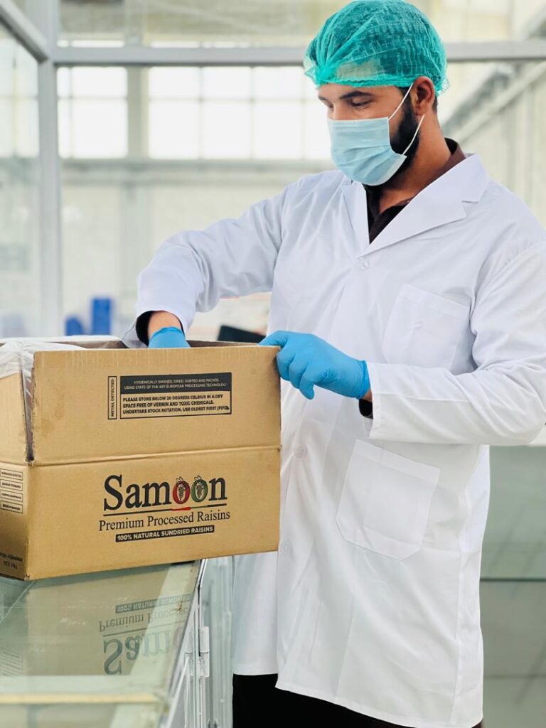 WhatsApp Image 2025-07-27 at 18.18.31